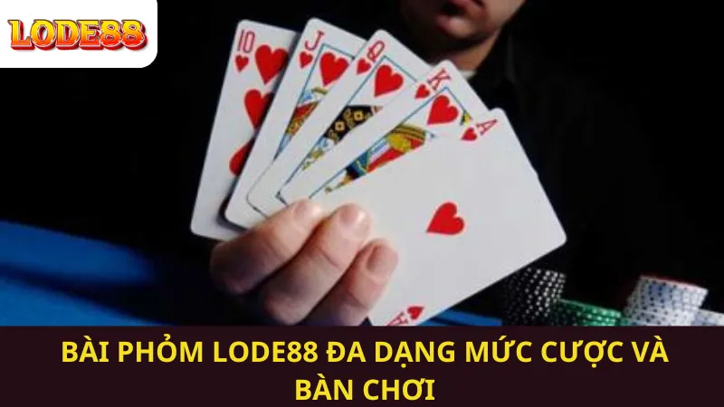 Bài Phỏm Lode88 Đa Dạng Mức Cược và Bàn Chơi
