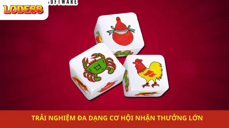 Trải Nghiệm Đa Dạng Cơ Hội Nhận Thưởng Lớn